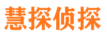 平原侦探公司